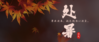 简约枫叶实景二十四节气处暑公众号封面首图 模板ID:17015