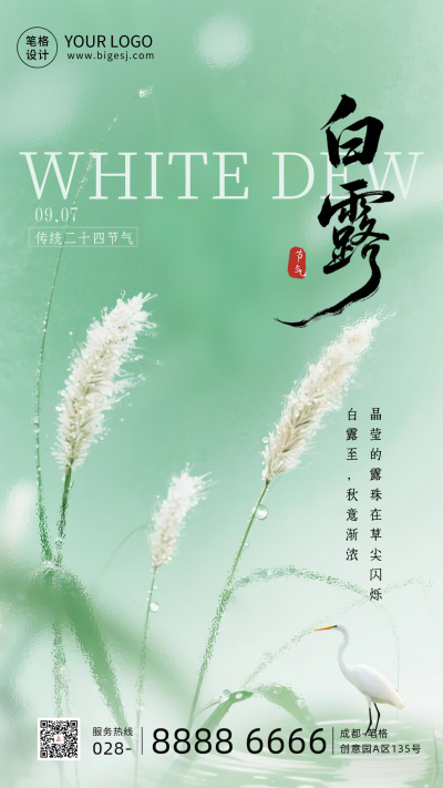 实景白露节气祝福海报 模板ID：768024