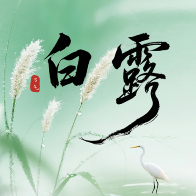 实景白露节气祝福公众号次图 模板ID：768021