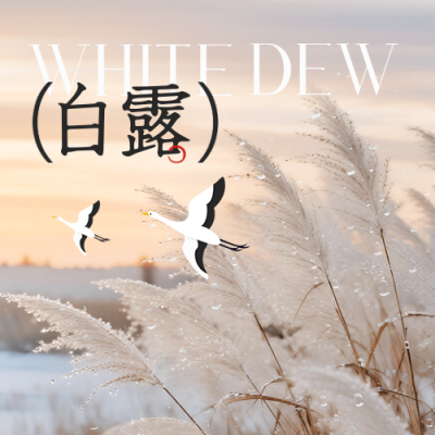 白露实景节气宣传封面次图 模板ID：768017
