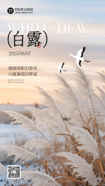 白露实景节气宣传海报 模板ID：768014