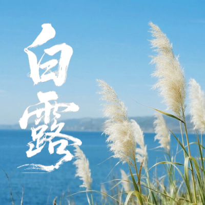 白露节气祝福公众号次图 模板ID：768121