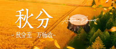 秋分节气手绘祝福公众号首图 模板ID：768678