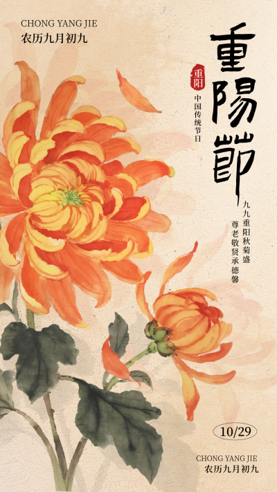 九九重阳节菊花宣传海报 模板ID:769534