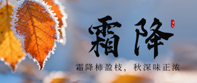 霜降节气实景树叶公众号首图 模板ID：769600