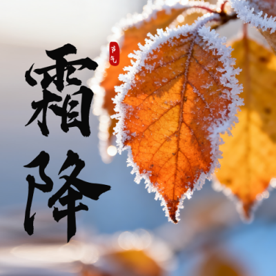 霜降节气实景树叶公众号次图 模板ID：769599