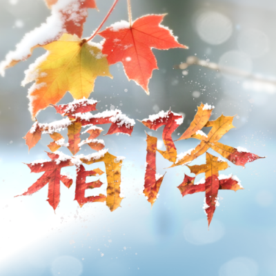 霜降节气实景封面次图 模板ID：769680