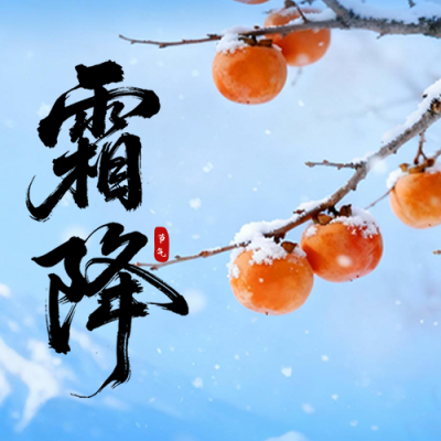 霜降节气柿子实景祝福公众号次图 模板ID：769700