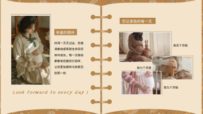 生活棕色画册风图片排版PPT单页 模板ID：772221