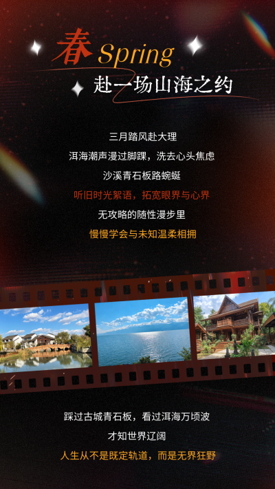 胶片风个人年度回顾竖版配图 模板ID：772589