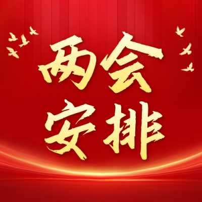 两会党政工作宣传公众号次图 模板ID：775263