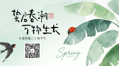 绿色手绘风惊蛰节气二维码 模板ID：776303