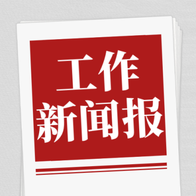 党政政务年终总结报纸公众号次图 模板ID：777232