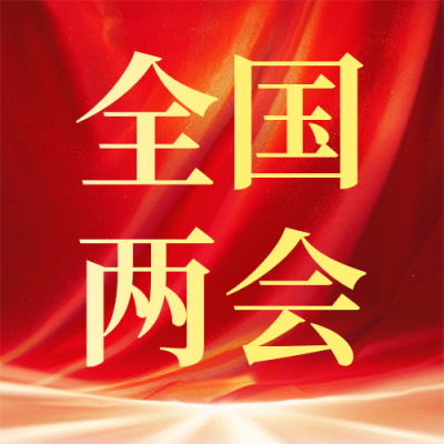 一图读懂全国两会精神红色简约公众号次图 模板ID：777279