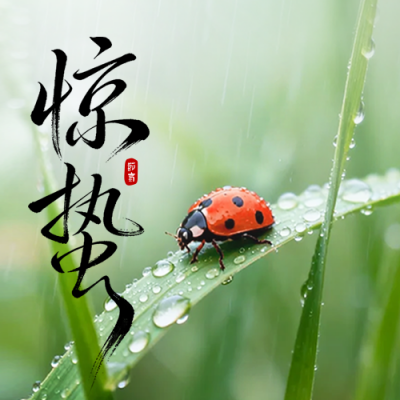 惊蛰实景祝福公众号次图 模板ID：777376