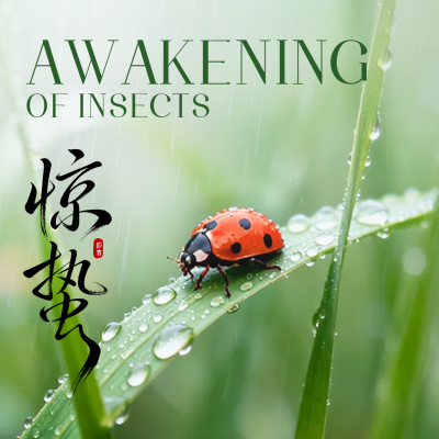 惊蛰实景祝福方形海报 模板ID：777372
