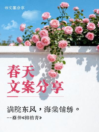 春日文案分享实景小红书封面 模板ID:777827