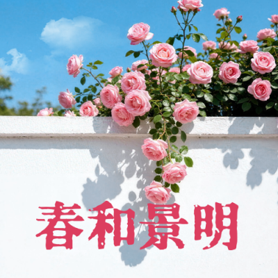春日文案分享实景公众号次图 模板ID：777830