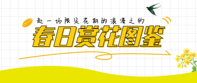 春日赏花图鉴黄色简约公众号首图 模板ID:779025