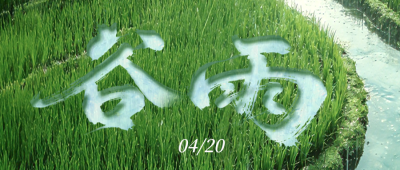 清新文艺谷雨公众号首图 模板ID：779885