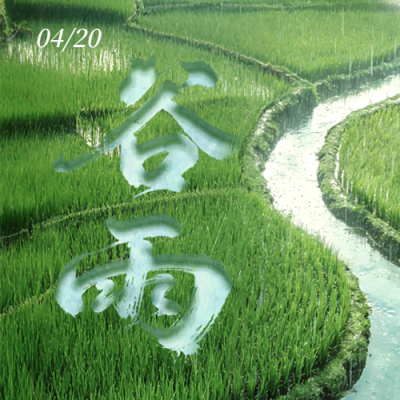 清新文艺谷雨公众号次图 模板ID：779886