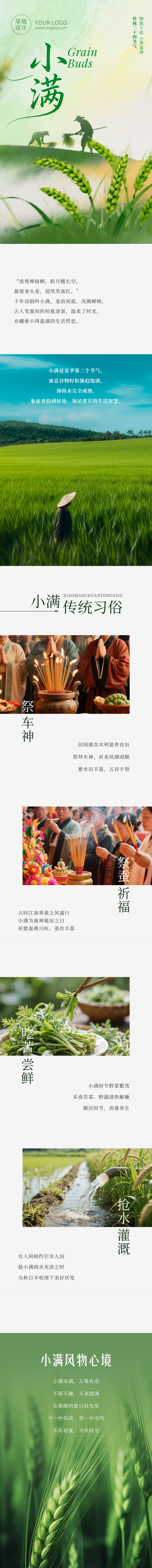 小满节气习俗介绍简约公众号长图 模板ID:984322