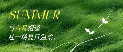 六月你好文艺祝福日签公众号首图 模板ID：984360