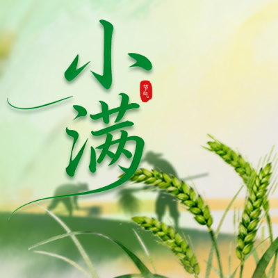 小满节气习俗介绍公众号次图 模板ID：984378