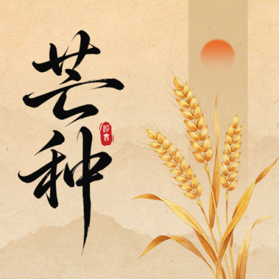 芒种节气怀旧风祝福公众号次图 模板ID：987459