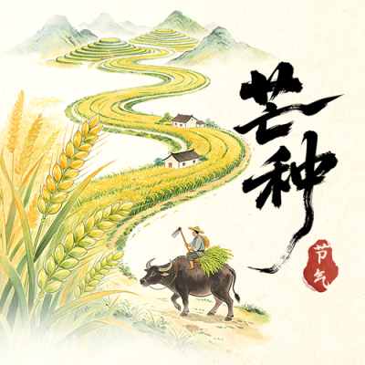 芒种节气水彩宣传公众号次图 模板ID：987500