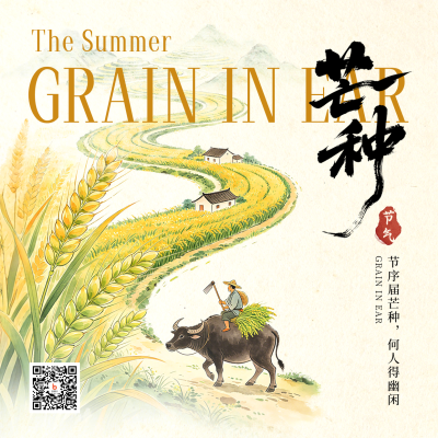 芒种节气水彩宣传方形海报 模板ID：987501