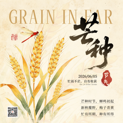 芒种节气麦穗手绘宣传方形海报 模板ID：987512