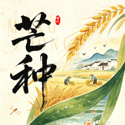 芒种节气手绘公众号次图 模板ID：987898