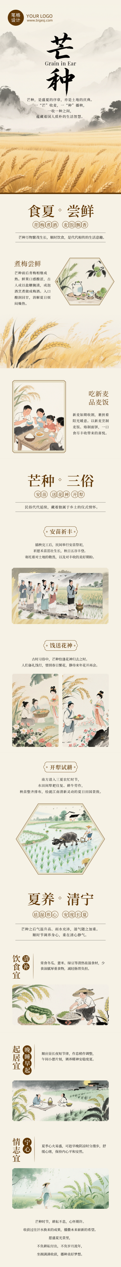 芒种习俗介绍古风简约公众号长图 模板ID:988099