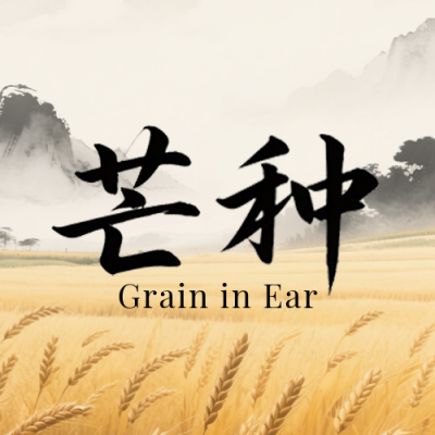 芒种习俗介绍古风简约公众号次图 模板ID：988168