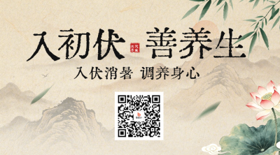 初伏养生手绘宣传二维码 模板ID：989754