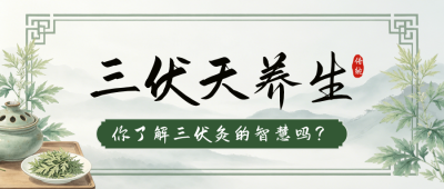三伏天养生手绘清新公众号首图 模板ID：989854
