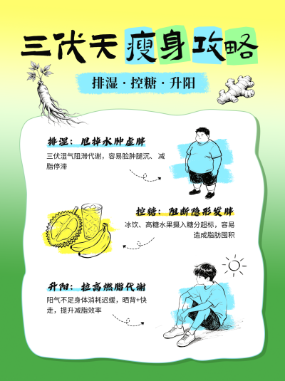 三伏天瘦身攻略分享小红书封面 模板ID：989878