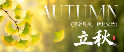 立秋实景银杏叶祝福公众号首图 模板ID：990598