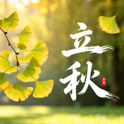 立秋实景银杏叶祝福公众号次图 模板ID：990599