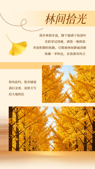 秋日文艺实景竖版配图 模板ID：990688
