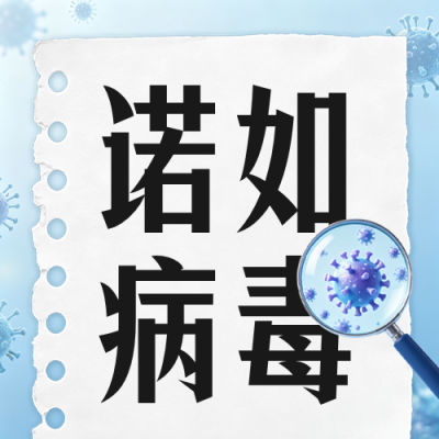 开学季诺如病毒预防公众号次图 模板ID：990935