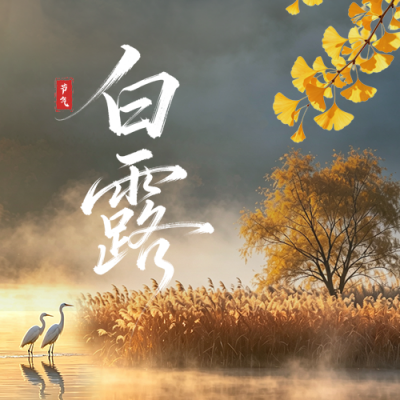 白露节气祝福风景公众号次图 模板ID：991705