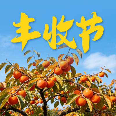 农民丰收节实景公众号次图 模板ID：9916225