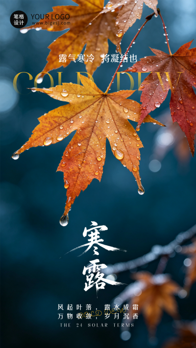实景寒露节气日签海报 模板ID：9917432