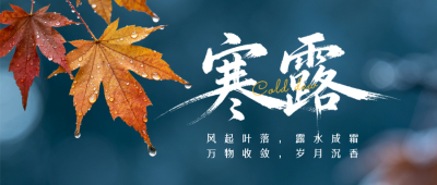 实景寒露节气日签公众号首图 模板ID:9917431