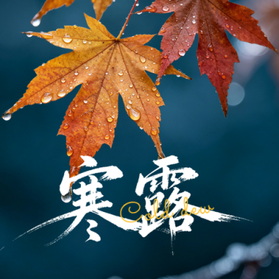 实景寒露节气日签公众号次图 模板ID：9917427