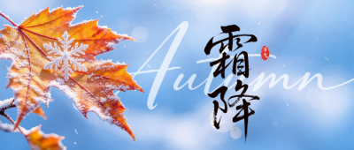 霜降节气实景日签祝福公众号首图 模板ID：9917893