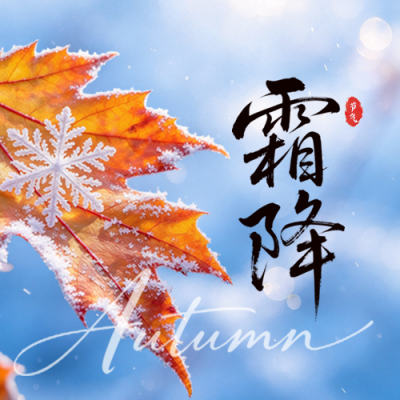 霜降节气实景日签祝福公众号次图 模板ID：9917892