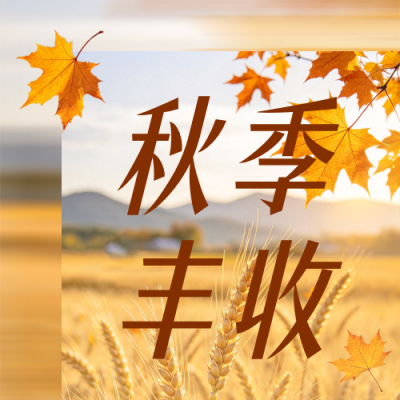 秋季丰收实景公众号次图 模板ID：9918046